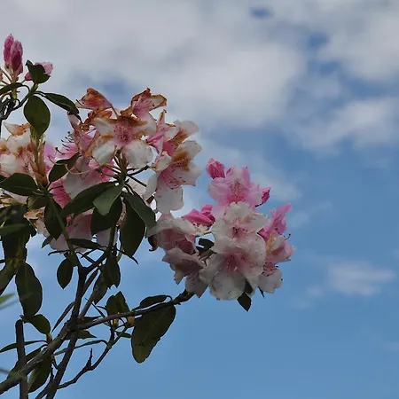 Сasa de vacaciones Rio Molino *