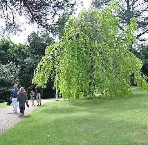Vakantiehuis Rio Molino *