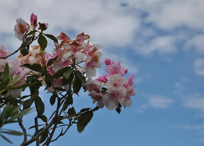 Hébergement de vacances Rio Molino *